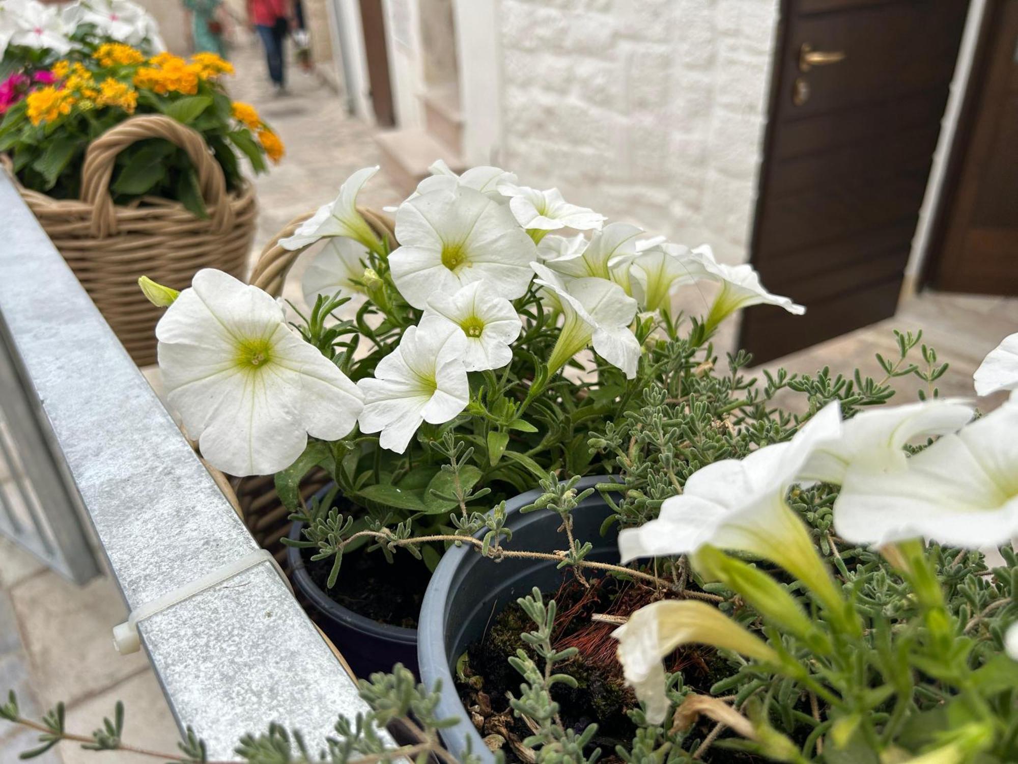 Trame Poesia Di Mare 2 Bed & Breakfast Polignano a Mare Eksteriør bilde