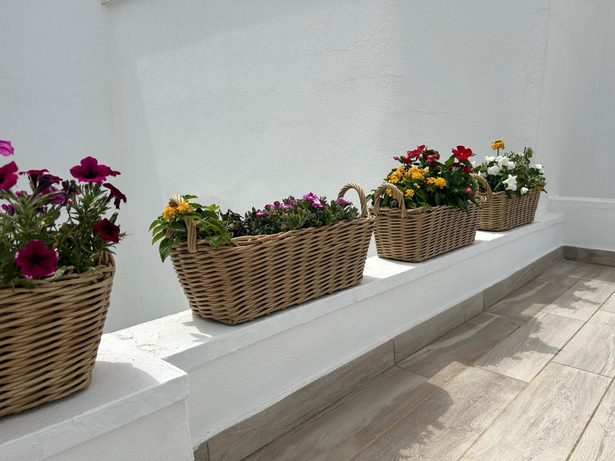 Trame Poesia Di Mare 2 Bed & Breakfast Polignano a Mare Eksteriør bilde